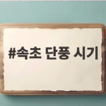 속초 단풍 시기