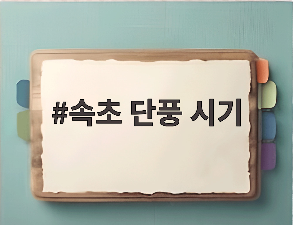 속초 단풍 시기