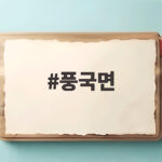 풍국면 송파위례점에서 먹은 별표국수와 열무비빔국수 솔직한 후기 풍국면