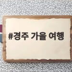 경주 가을 여행
