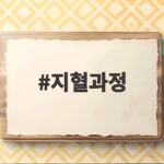 지혈과정 우리 몸이 자연스럽게 출혈을 멈추는 과학적 비밀 지혈과정