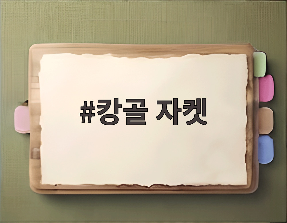 캉골 자켓