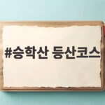 승학산 등산코스 이대로만 걸어도 가을 억새 절경을 만납니다 승학산 등산코스
