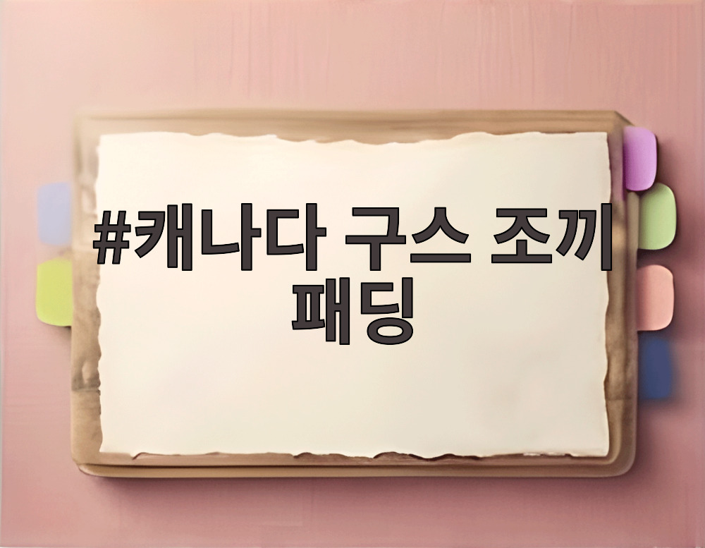 캐나다 구스 조끼 패딩