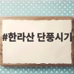 한라산 단풍시기 2026 절정 날짜와 영실 어리목 코스 추천 한라산 단풍시기