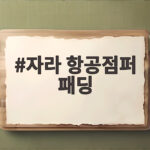자라 항공점퍼 패딩