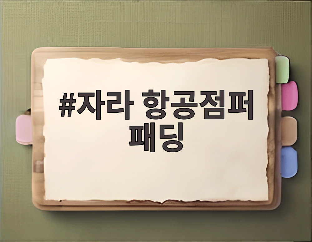 자라 항공점퍼 패딩