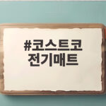 코스트코 전기매트