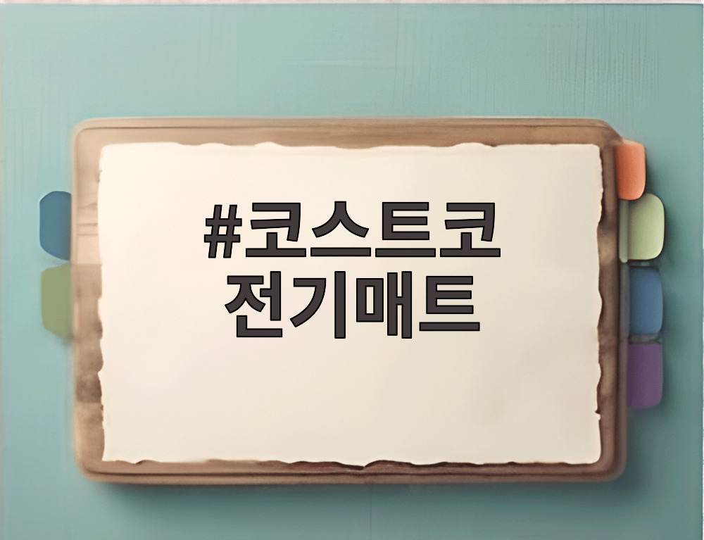 코스트코 전기매트