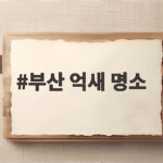 부산 억새 명소 4곳 아이와 걷기 좋은 가을 나들이 장소는 어디일까 부산 억새 명소