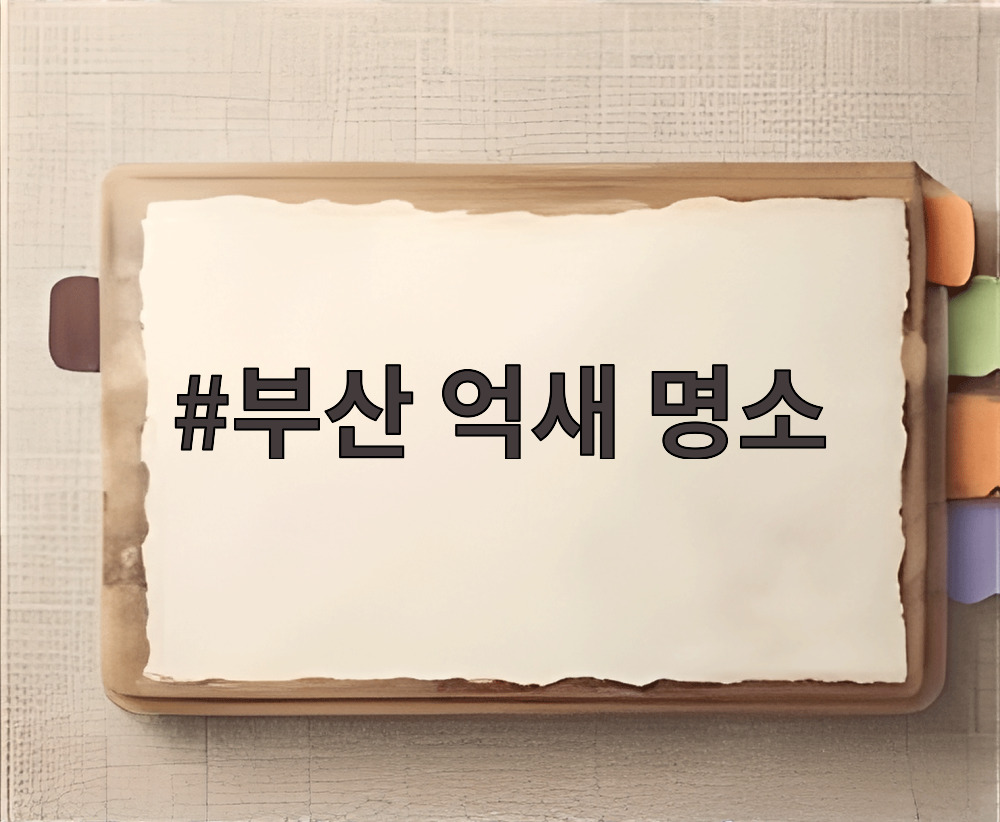 부산 억새 명소