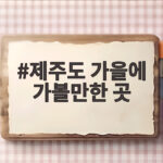 제주도 가을에 가볼만한 곳 추천 10월에 만나는 가을 풍경 제주도 가을에 가볼만한 곳