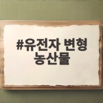 유전자 변형 농산물 표시 확인하는 법 이것만 알면 됩니다 유전자 변형 농산물