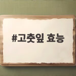 고춧잎 효능