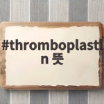 thromboplastin 뜻