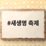 새생명 축제