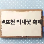포천 억새꽃 축제
