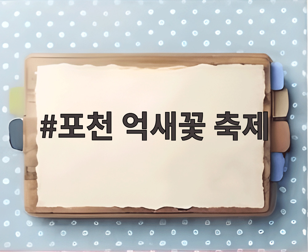 포천 억새꽃 축제