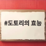 도토리의 효능