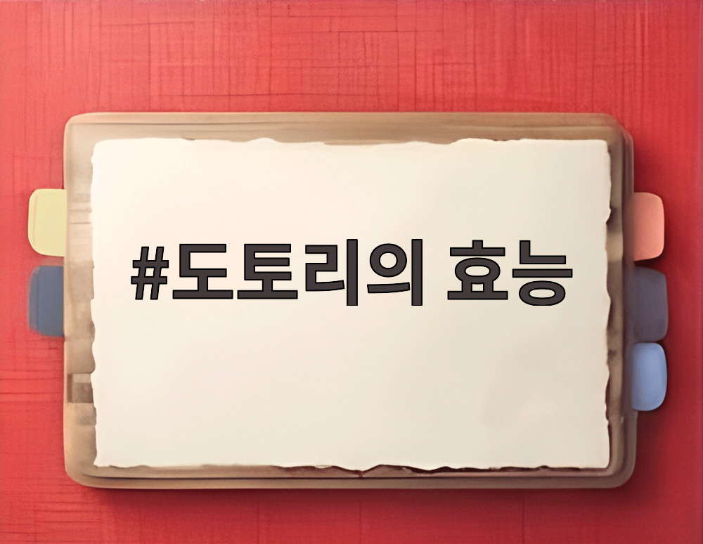 도토리의 효능