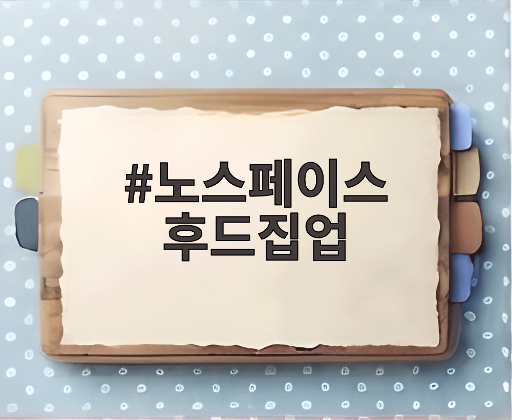 노스페이스 후드집업