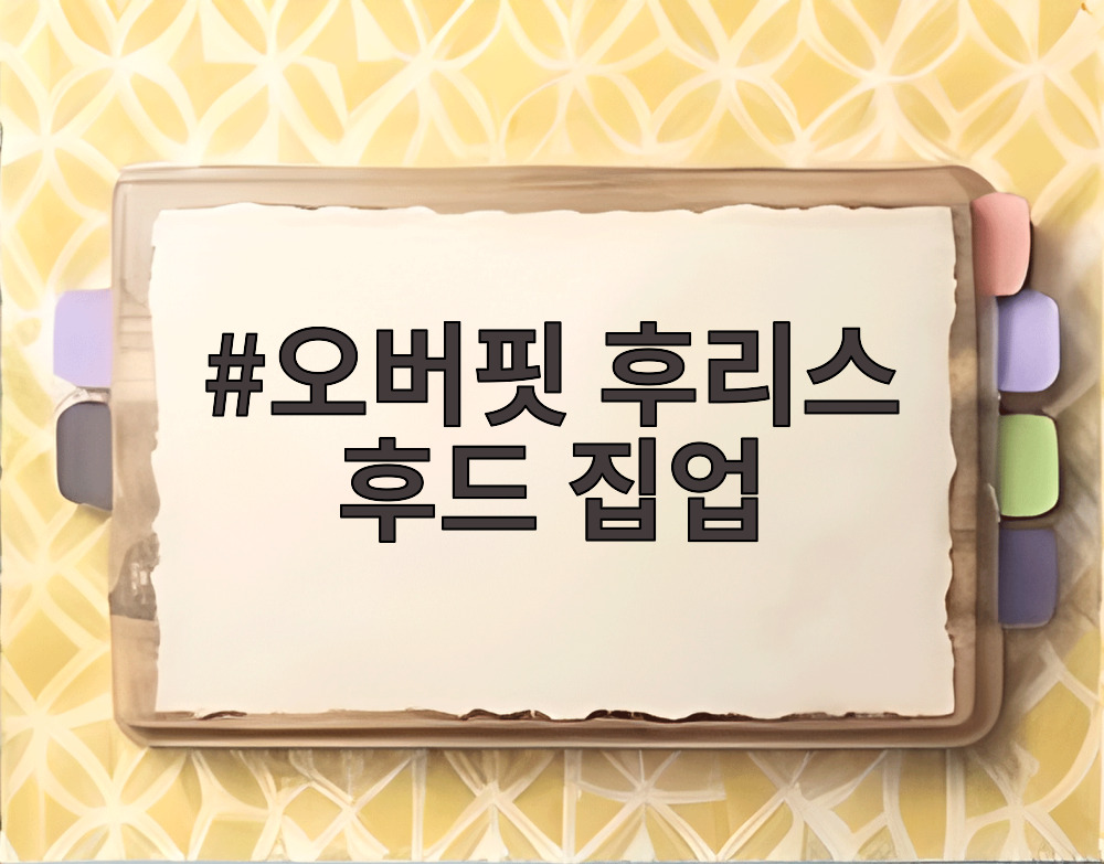 오버핏 후리스 후드 집업