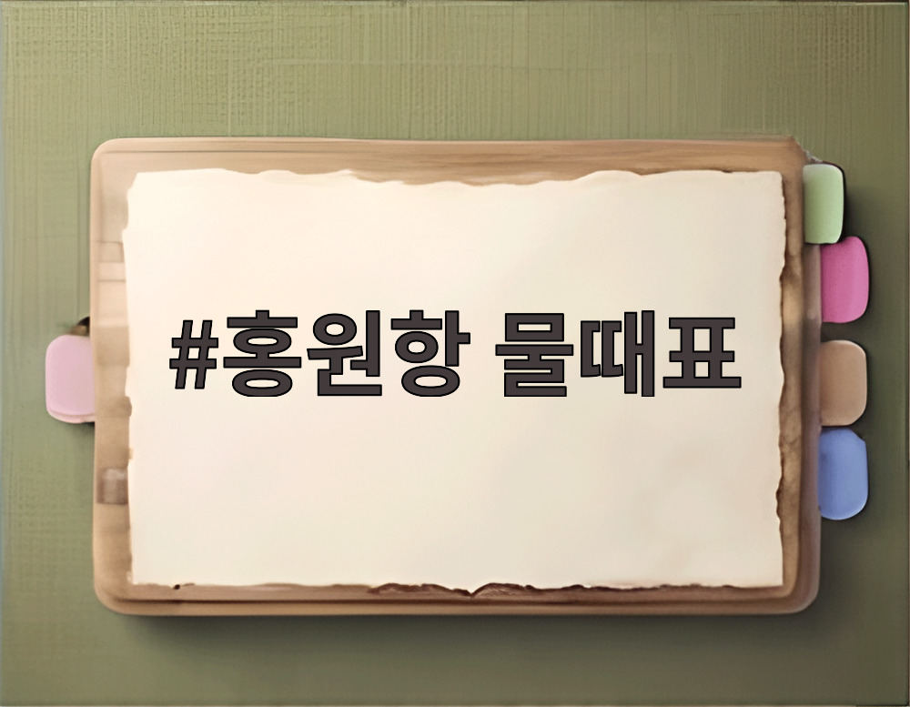 홍원항 물때표