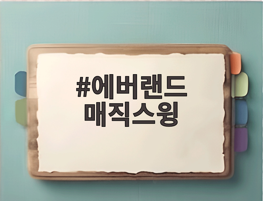 에버랜드 매직스윙