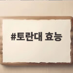 토란대 효능 제대로 누리려면 이렇게 손질하세요 토란대 효능