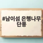 남이섬 은행나무 단풍
