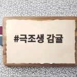 극조생 감귤