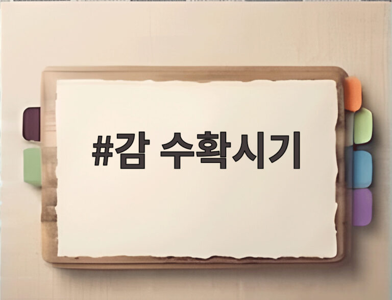 감 수확시기
