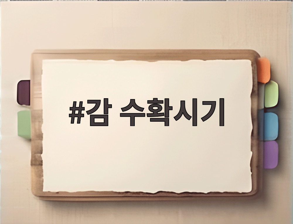 감 수확시기