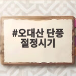오대산 단풍 절정시기