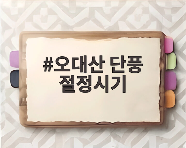 오대산 단풍 절정시기