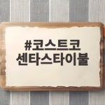 코스트코 센타스타이불