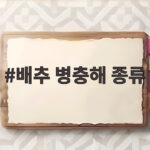 배추 병충해 종류