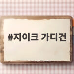 지이크 가디건