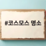 코스모스 명소라면 이곳 10월에 놓치면 아쉬운 꽃밭 코스모스 명소