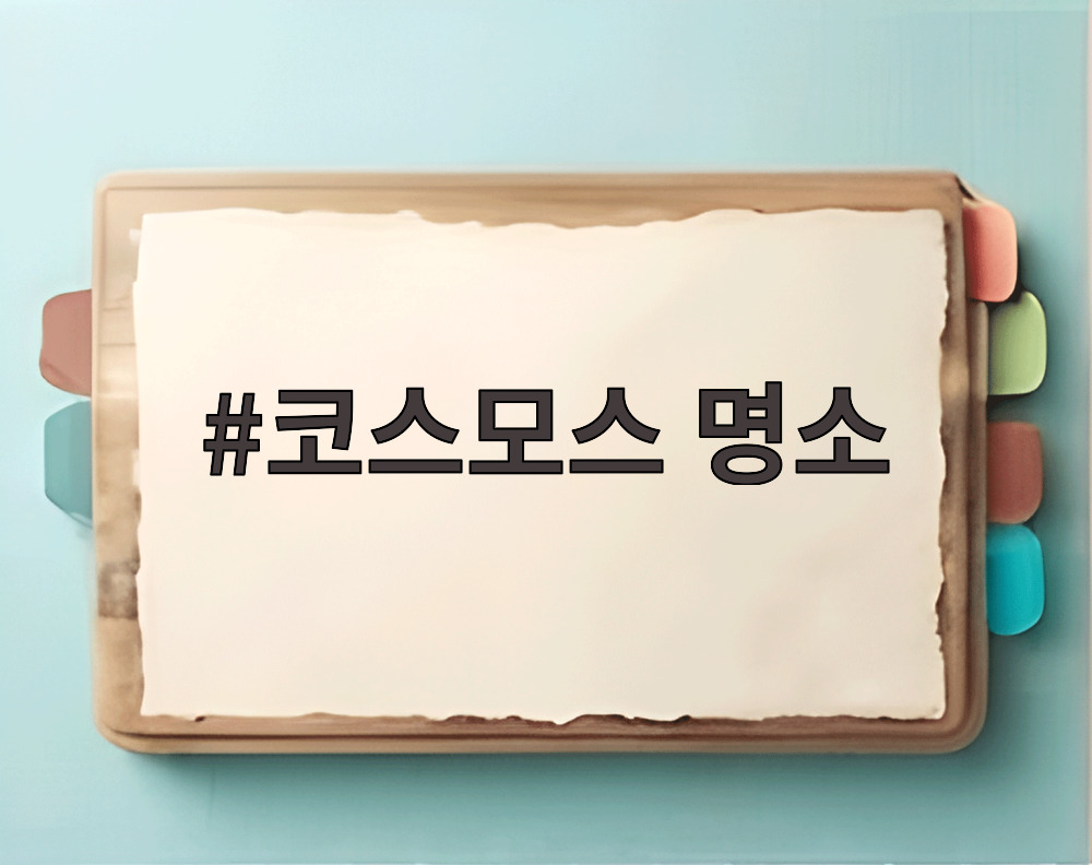 코스모스 명소
