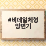 비데일체형 양변기 구매 전에 알아두면 평생 든든한 선택 비데일체형 양변기
