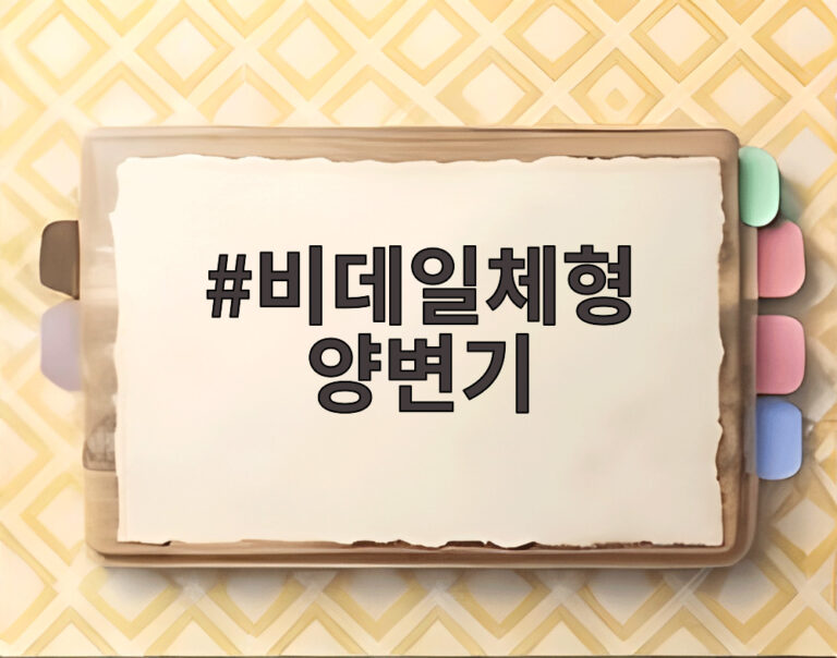 비데일체형 양변기