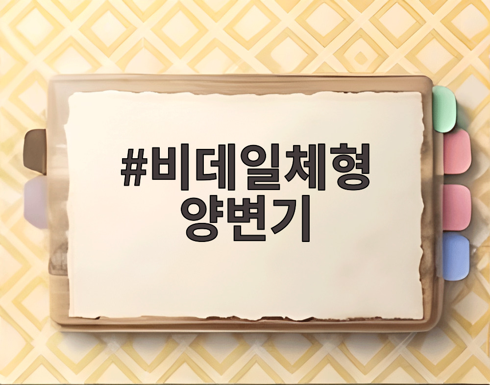 비데일체형 양변기