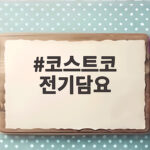 코스트코 전기담요