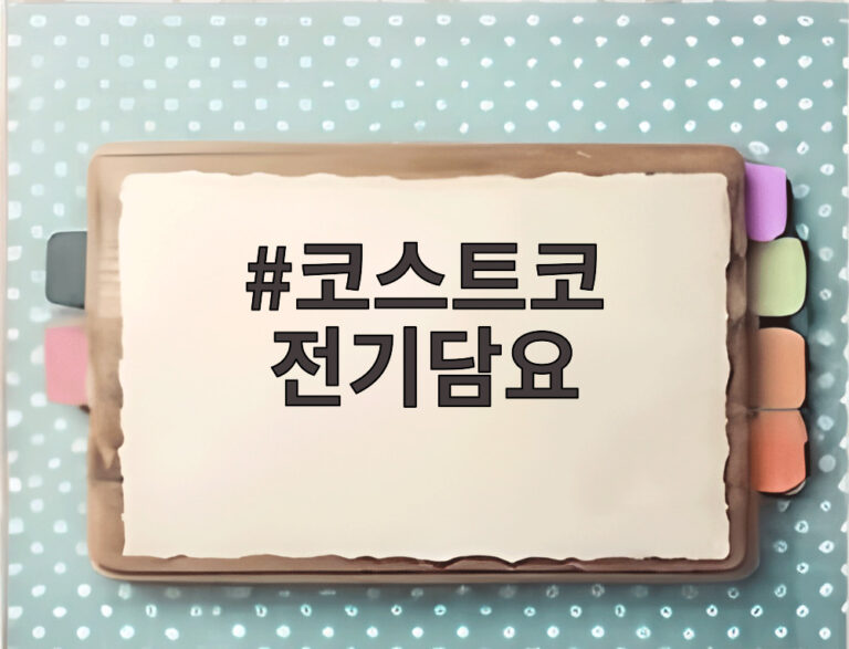 코스트코 전기담요