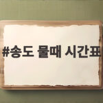 송도 물때 시간표