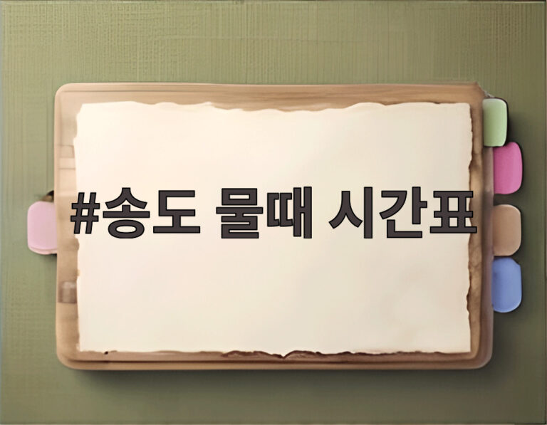 송도 물때 시간표