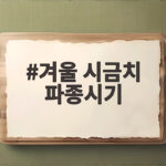 겨울 시금치 파종시기 늦지 않게 준비하는 법 겨울 시금치 파종시기