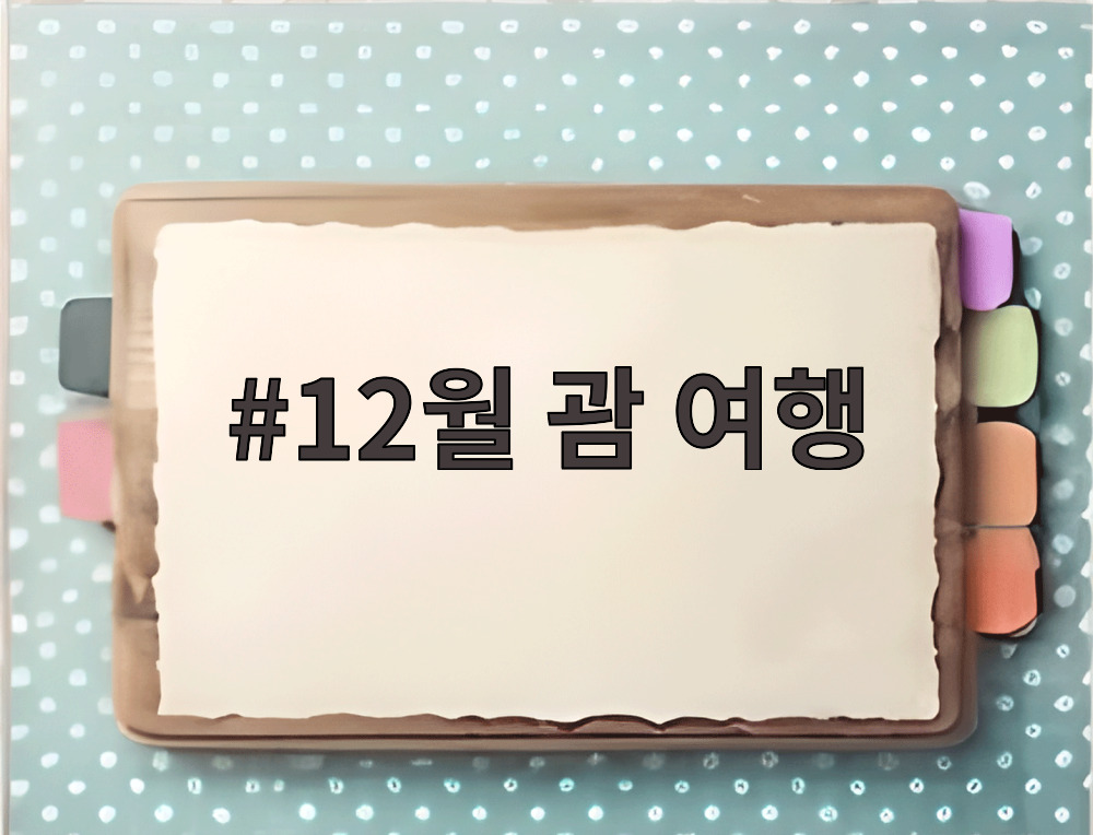 12월 괌 여행