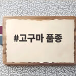 고구마 품종